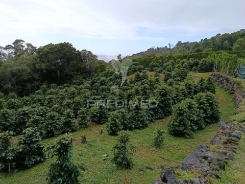 Terreno em Urzelina (São Mateus), Velas