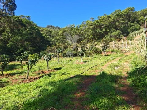 Terreno em Caniçal, Machico