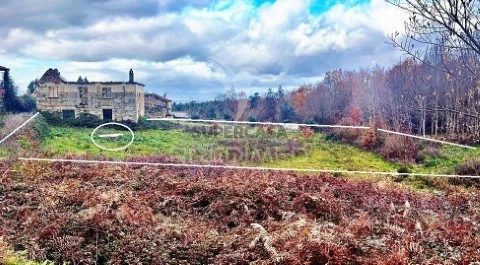Terreno em Covas e Vila Nova de Oliveirinha, Tábua