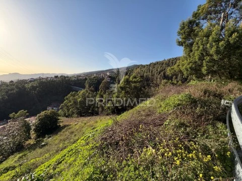Terreno em Monte, Funchal