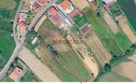 Terreno em Angeja, Albergaria-a-Velha