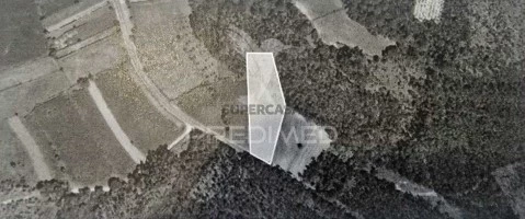Terreno em São João de Loure e Frossos, Albergaria-a-Velha