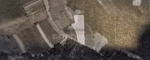 Terreno em São João de Loure e Frossos, Albergaria-a-Velha