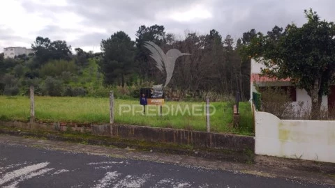Terreno em Chamusca e Pinheiro Grande, Chamusca