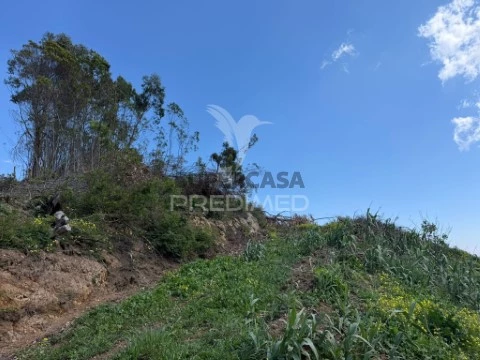 Terreno na Ribeira Brava, Ribeira Brava