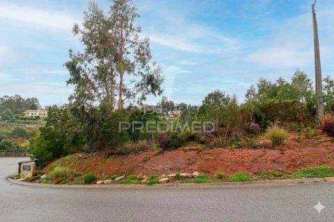 Terreno em Águeda, Águeda