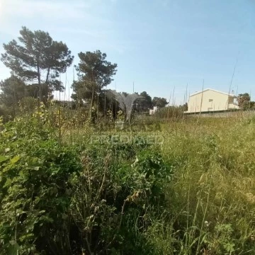 Terreno em Azeitão (São Lourenço e São Simão), Setúbal