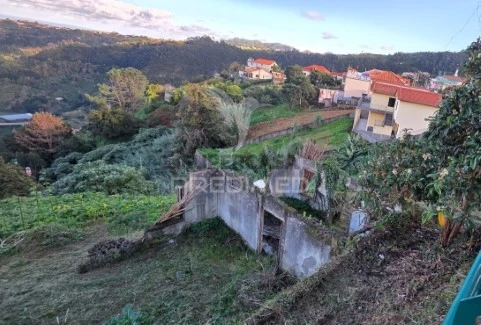 Terreno na Ilha, Santana