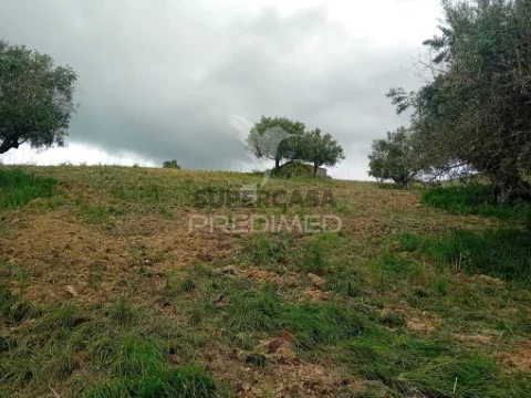 Terreno em Pernes, Santarém