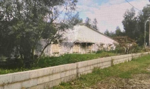 Terreno em Valongo do Vouga, Águeda