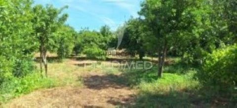 Moradia T2 em Pardais, Vila Viçosa