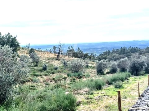 Terreno em Reguengo e São Julião, Portalegre