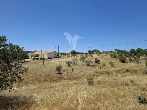 Alentejaans Landhuis 6 kamers Op N.S. Conceição, S.Brás Matos, Juromenha, Alandroal