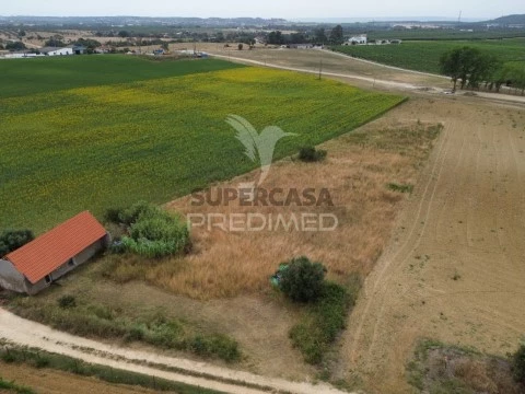 Moradia T2 em São Vicente do Paul, Santarém
