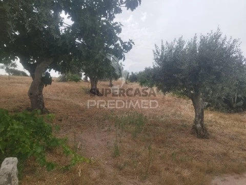 Terreno em Espírito Santo, Nossa Senhora da Graça e São Simão, Nisa
