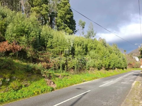 Terreno em Valdreu, Vila Verde