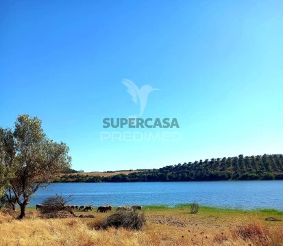 Terreno em N.S. Conceição, S.Brás Matos, Juromenha, Alandroal