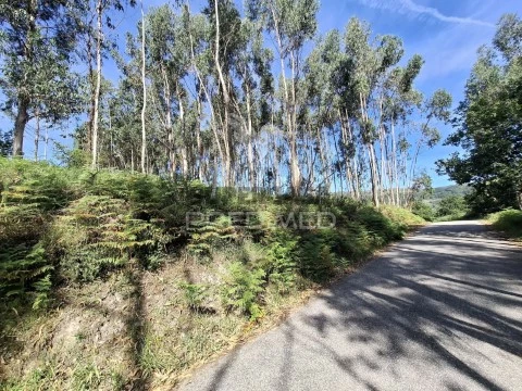 Terreno em Vade, Vila Verde