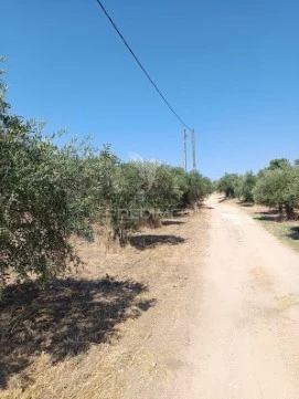 Terreno em São João Batista, Campo Maior