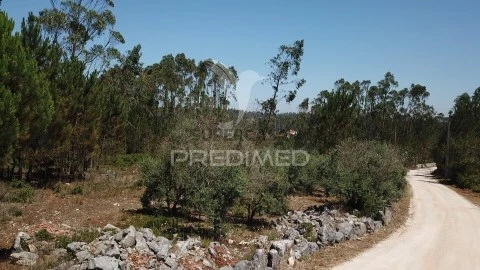 Terreno em São Mamede, Batalha