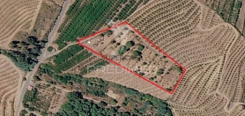 Terreno em Alcongosta, Fundão