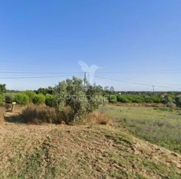 Terreno em Paialvo, Tomar