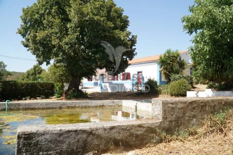 Quinta Rural T3 em Vila Boim, Elvas