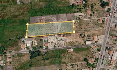 Grundstück Grândola e Santa Margarida da Serra, Grândola