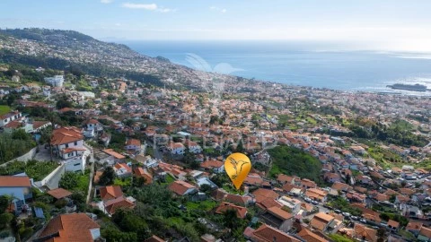 Land in Monte, Funchal