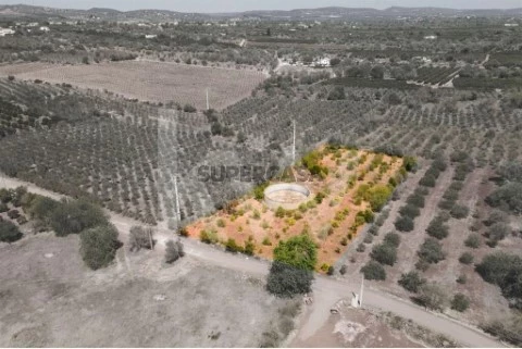 Terreno em São Bartolomeu de Messines, Silves