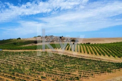 Ferme 3 Chambres au Vila de Frades, Vidigueira