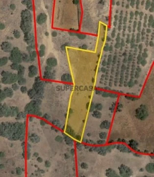Terreno em Pêra, Silves