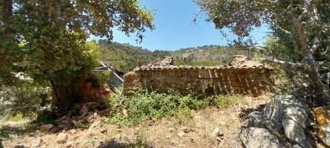 Terreno em Alferce, Monchique