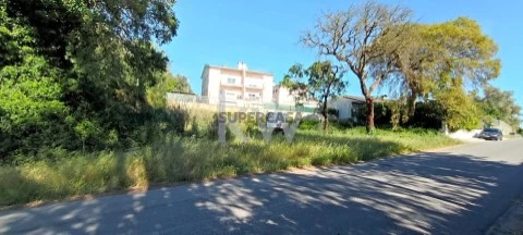 Terreno em Recardães e Espinhel, Águeda