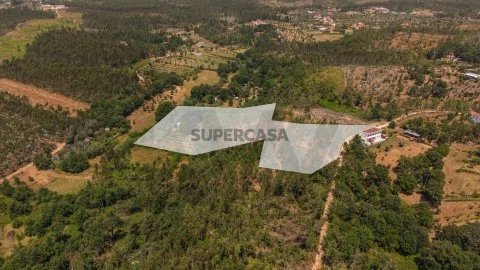 Terreno em Cabeçudo, Sertã