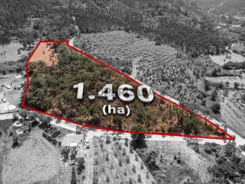 Terreno em Chão de Couce, Ansião