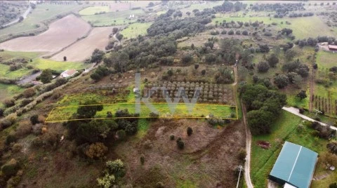 Terreno em Vale do Paraíso, Azambuja