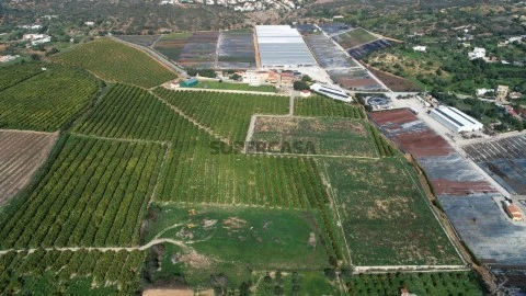 Quinta em Quelfes