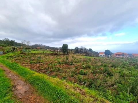 Terreno em Porto Moniz, Porto Moniz