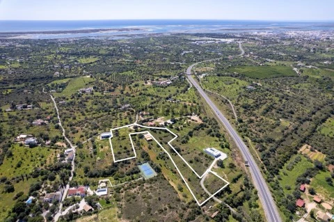 DJI_0600 - Copia
