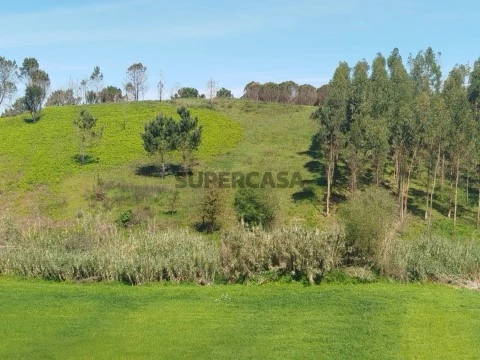 Terreno com 6000m2 no Vilar Cadaval