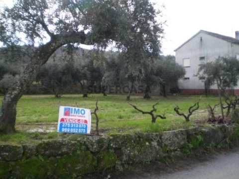 Terreno em Ferro, Covilhã