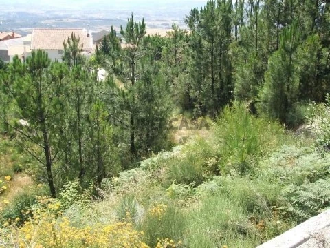 Terreno em Vila do Carvalho, Covilhã