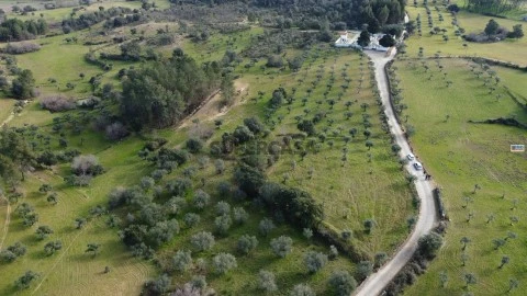Quinta T0 em Lardosa, Castelo Branco