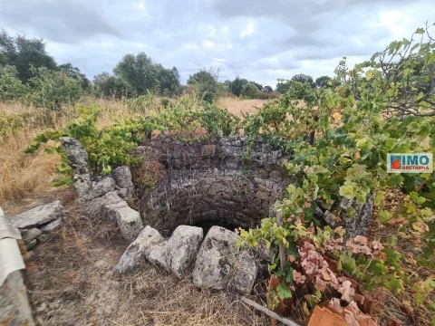 Quinta T0 em Escalos de Cima, Castelo Branco
