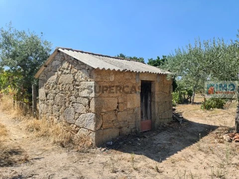 Quinta T0 em Lardosa, Castelo Branco