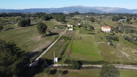 Quinta T0 em Lardosa, Castelo Branco