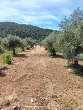 Terreno Rústico em Paul, Covilhã