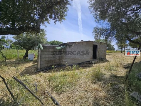 Quinta T0 em Escalos de Baixo, Castelo Branco