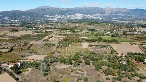Terreno Rústico em Ferro, Covilhã